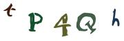 圖片的 CAPTCHA