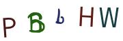 圖片的 CAPTCHA