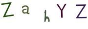 圖片的 CAPTCHA