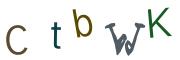 圖片的 CAPTCHA