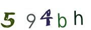 圖片的 CAPTCHA