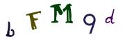 圖片的 CAPTCHA