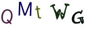 圖片的 CAPTCHA
