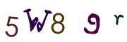圖片的 CAPTCHA
