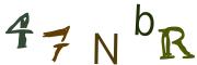圖片的 CAPTCHA