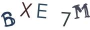 圖片的 CAPTCHA