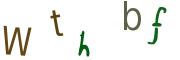 圖片的 CAPTCHA