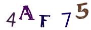 圖片的 CAPTCHA