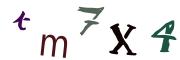 圖片的 CAPTCHA