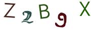 圖片的 CAPTCHA