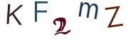圖片的 CAPTCHA