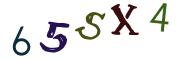 圖片的 CAPTCHA