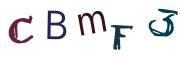 圖片的 CAPTCHA