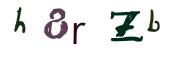 圖片的 CAPTCHA