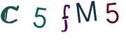 圖片的 CAPTCHA