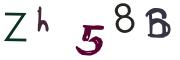 圖片的 CAPTCHA