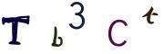 圖片的 CAPTCHA