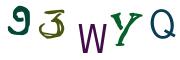 圖片的 CAPTCHA