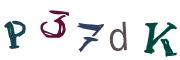圖片的 CAPTCHA