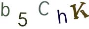 圖片的 CAPTCHA