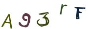 圖片的 CAPTCHA