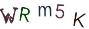圖片的 CAPTCHA