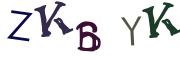 圖片的 CAPTCHA