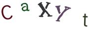 圖片的 CAPTCHA