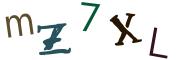 圖片的 CAPTCHA