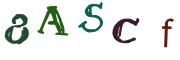 圖片的 CAPTCHA