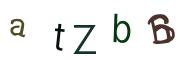 圖片的 CAPTCHA