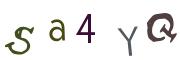 圖片的 CAPTCHA