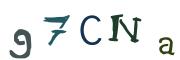 圖片的 CAPTCHA
