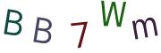 圖片的 CAPTCHA