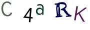 圖片的 CAPTCHA