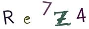 圖片的 CAPTCHA