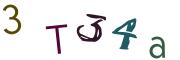 圖片的 CAPTCHA