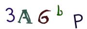 圖片的 CAPTCHA