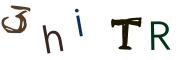 圖片的 CAPTCHA