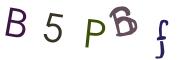 圖片的 CAPTCHA
