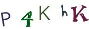圖片的 CAPTCHA