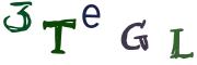 圖片的 CAPTCHA