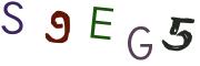 圖片的 CAPTCHA