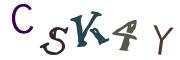 圖片的 CAPTCHA