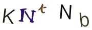 圖片的 CAPTCHA