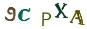 圖片的 CAPTCHA