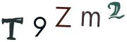 圖片的 CAPTCHA
