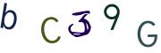 圖片的 CAPTCHA