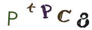 圖片的 CAPTCHA