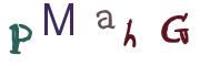 圖片的 CAPTCHA